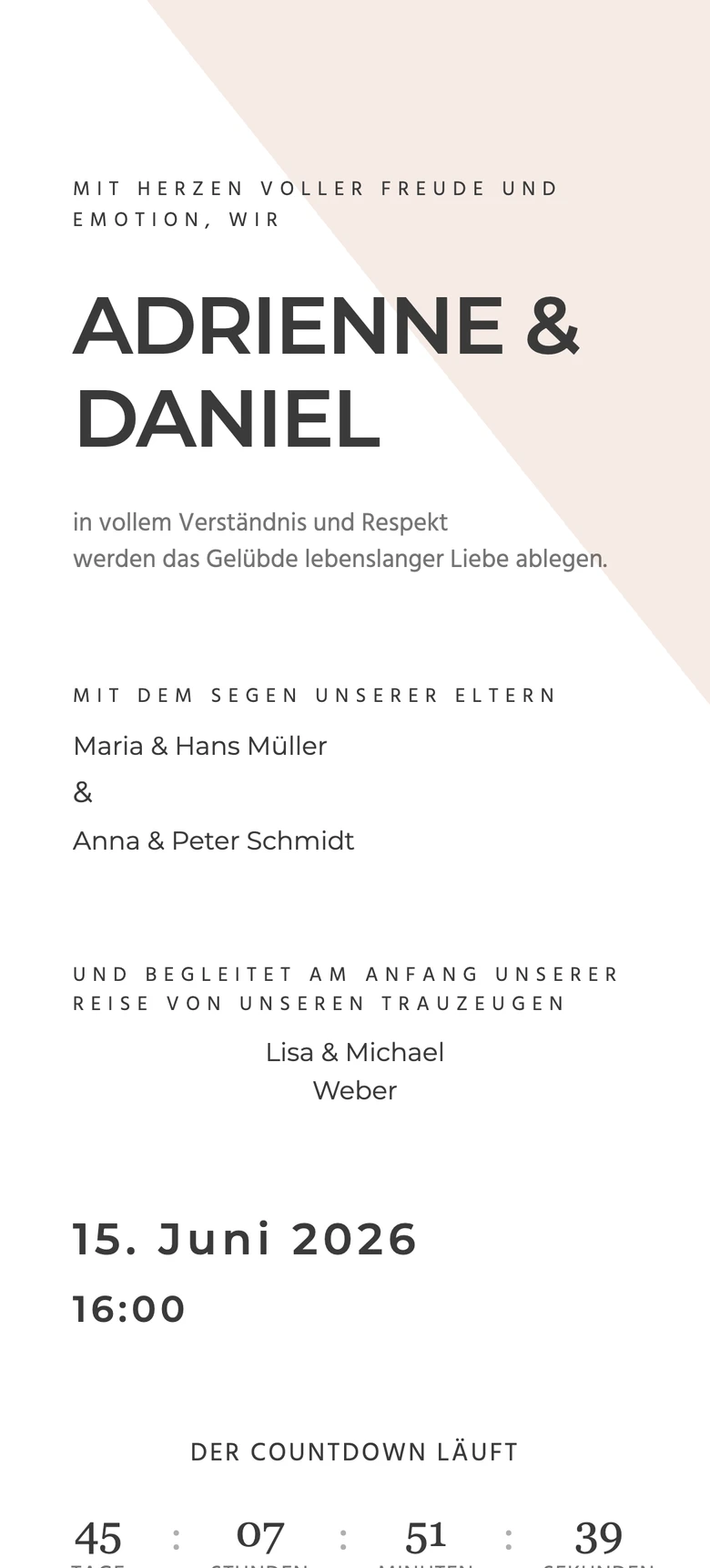 Geometrisch Blush template preview