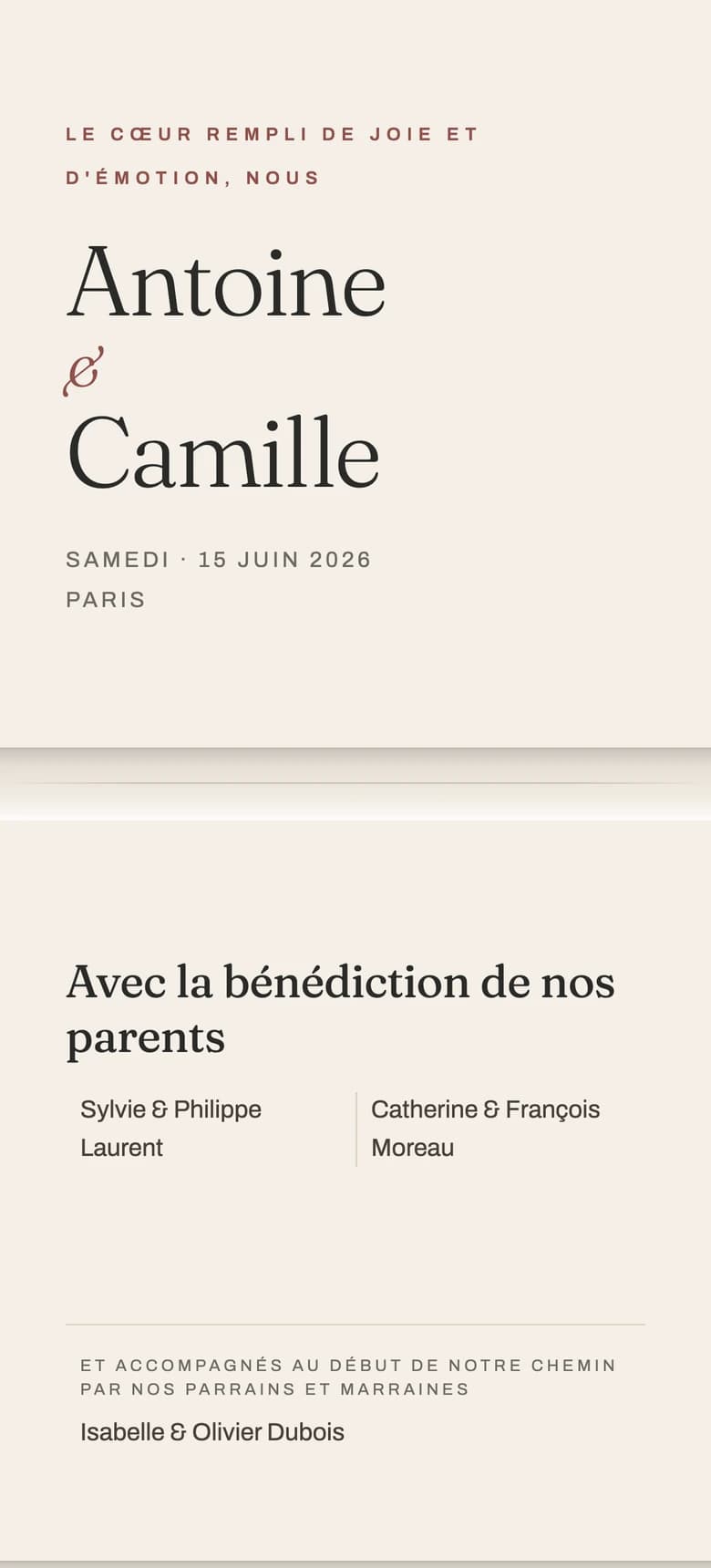 Le Pli template preview