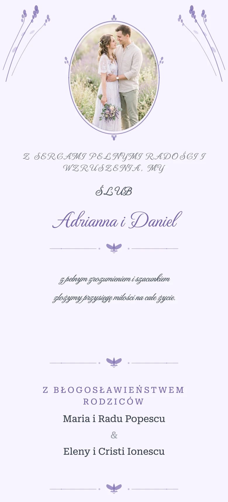 Prowansalska lawenda template preview
